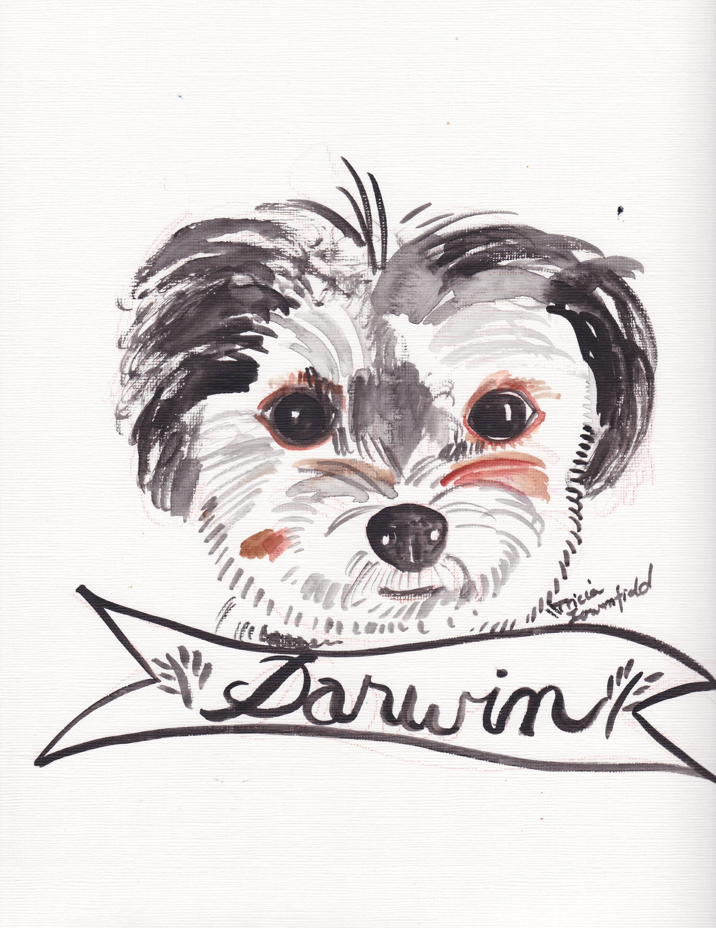 Dog Portrait - Premium  from Tricia Lowenfield Design 