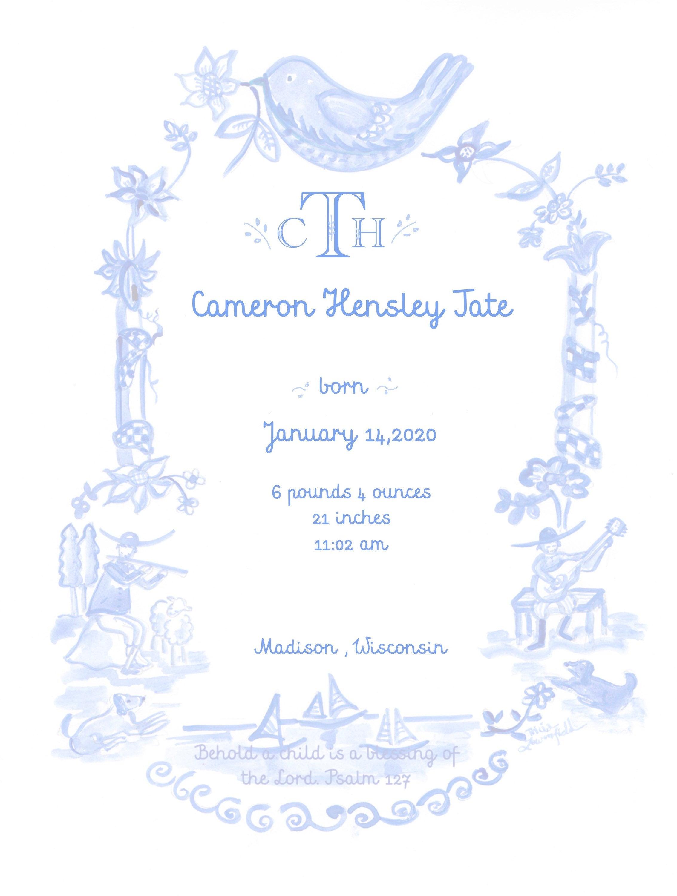 Birth Announcement - Light Blue - Premium from Tricia Lowenfield Design